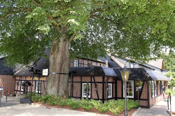 Hotel Zum Hackstück (Hattingen)